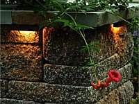 Landscape Lighting
